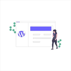 WordPress Plugin Development & Consultation